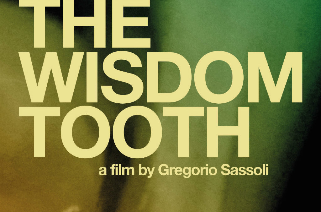 The Wisdom Tooth